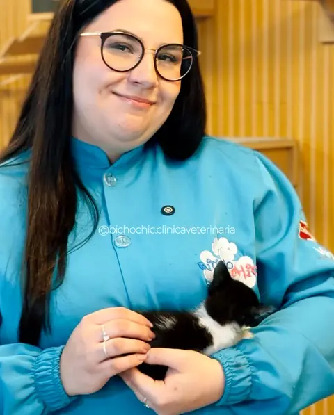 Profissional da Bicho Chic segurando um filhote de gato